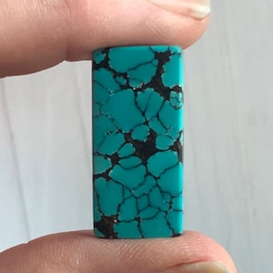 May include: A rectangular turquoise stone with a dark matrix pattern. The stone is held between two fingers, showcasing its polished surface and vibrant color. The turquoise is a bright, eye-catching blue-green.
