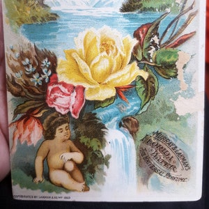 Cartão comercial vitoriano de 1883 Murray & Lanman's Florida Water, The Universal Perfume (Water Baby e Roses by a Stream) Lanman Kemp, Nova York
