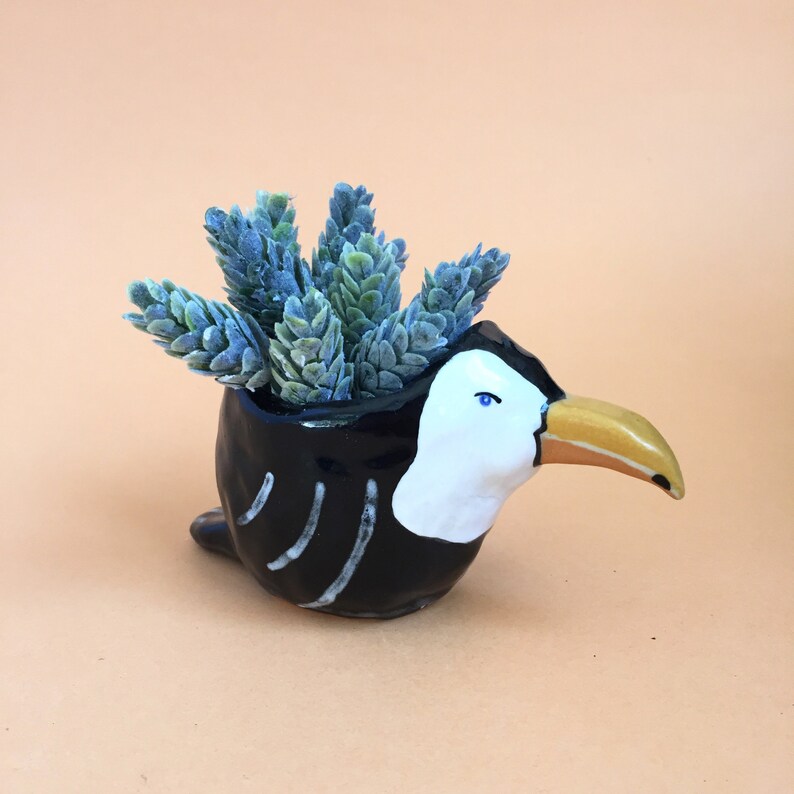 Toucan Planter Ceramic Animal Planter Ceramic Toucan Air Plant Holder