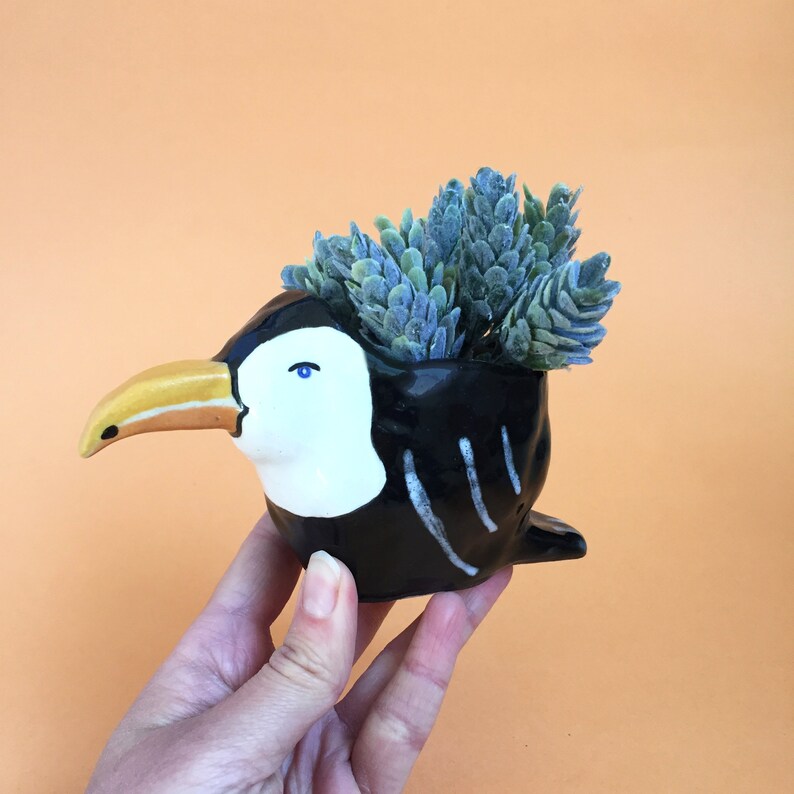 Toucan Planter Ceramic Animal Planter Ceramic Toucan Air Plant Holder