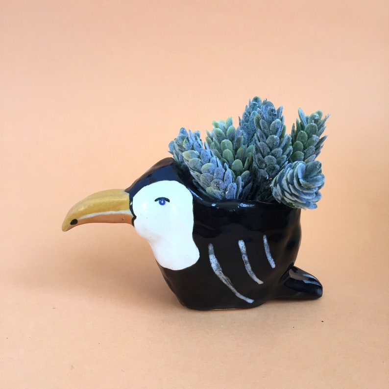 Toucan Planter Ceramic Animal Planter Ceramic Toucan Air Plant Holder