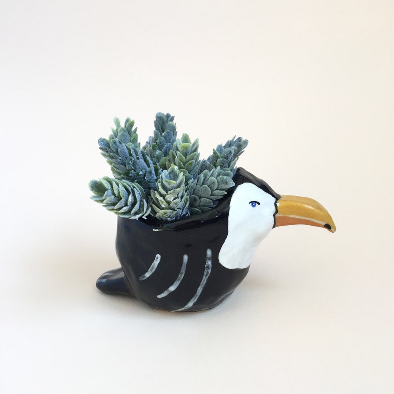 Toucan Planter Ceramic Animal Planter Ceramic Toucan Air Plant Holder