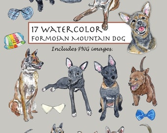 CLIP ART- Watercolor Formosan Mountain Dog Set. 17 Images. Digital Download. Puppy. Dogs. Pets. Animals. Doggy Smile. Taiwan Dog.