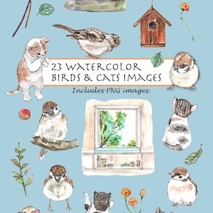 CLIP ART- Watercolor Birds & Cats Set. 23 Images. Digital Download. Kittens Play. Sparrow. Pets. Garden. Bird House. Window Seats. Leaves.