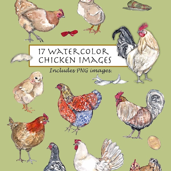 CLIP ART- Watercolor Chicken Set. 17 Images. Digital Download. Rooster. Hen. Fowl. Birds. Chick. Egg. Farm. Country Life.