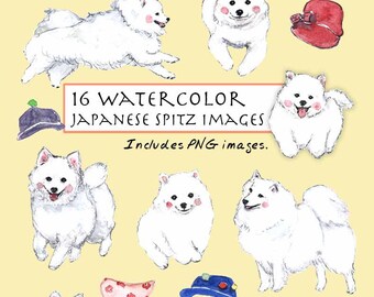 Japanese Spitz Etsy