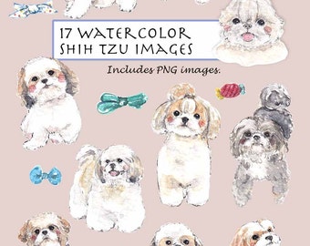 CLIP ART- Watercolor Shih Tzu Set. 17 Images. Digital Download. Doggy. Puppy. Animals. Pets.
