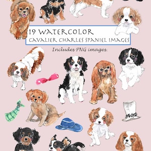 CLIP ART- Watercolor Cavalier King Charles Spaniel Set. 19 Images. Digital Download.