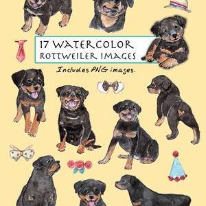 CLIP ART- Watercolor Rottweiler Set. 17 Images. Digital Download. Puppy. Doggy Collar. Black. White. Brown. Bowtie.