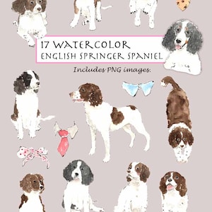 CLIP ART- Watercolor English Springer Spaniel & Collar Set. 17 Images. Digital Download. Puppy. Doggy Collar. Black. White. Brown.