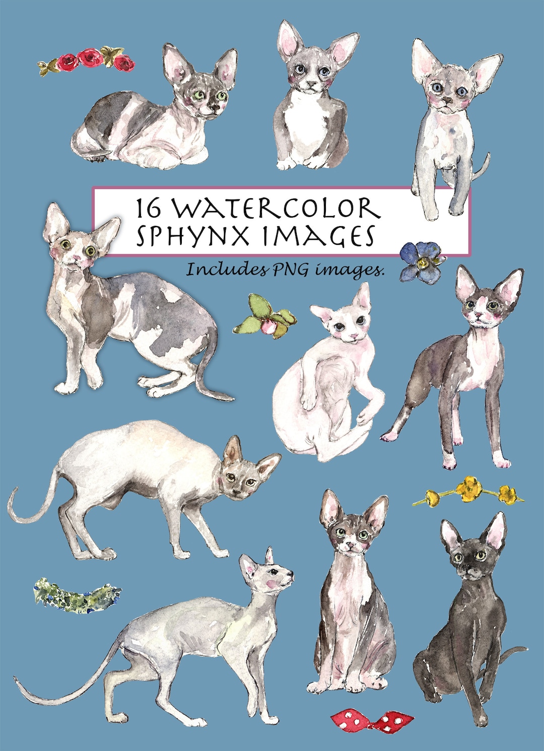 Watercolor Sphynx Cat Clipart: Floral Kitten Images (digital Download ...