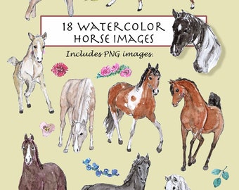 CLIP ART- Watercolor Horse Set. 18 Images. Digital Download. Horse. Animal. Farm.