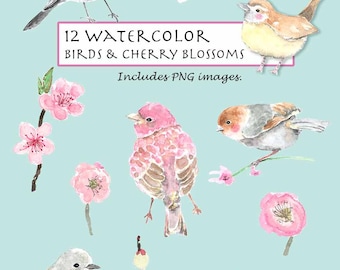 CLIP ART- Watercolor Birds & Cherry Blossoms Set. 12 Images. Digital Download. Flower. Garden. Nature.