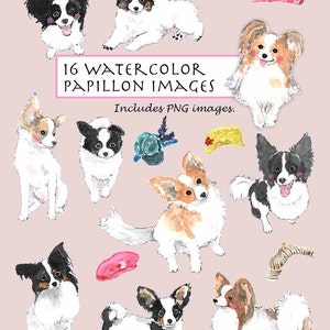 CLIP ART- Watercolor Papillon Dog Set. 16 Images. Digital Download. Puppy. Doggy Hat. Smile.