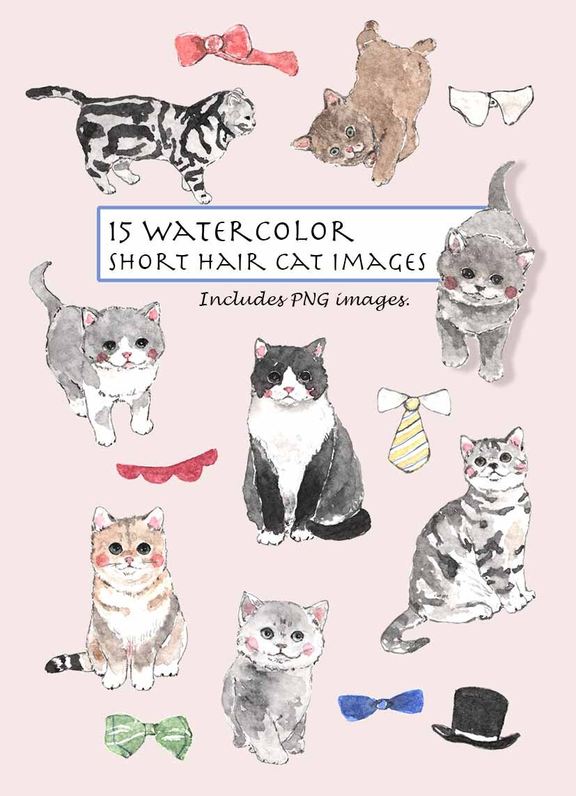 Download CLIP ART Watercolor Short Hair Cats Set. 15 Images ...