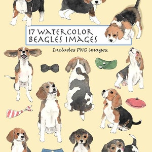 May include: 17 watercolor illustrations of Beagle puppies in various poses, including sitting, standing, and playing. The illustrations are in a cartoon style and feature a variety of accessories, such as bow ties, hats, and bandanas. The text "17 Watercolor Beagles Images" and "Includes PNG images" is also included in the image.