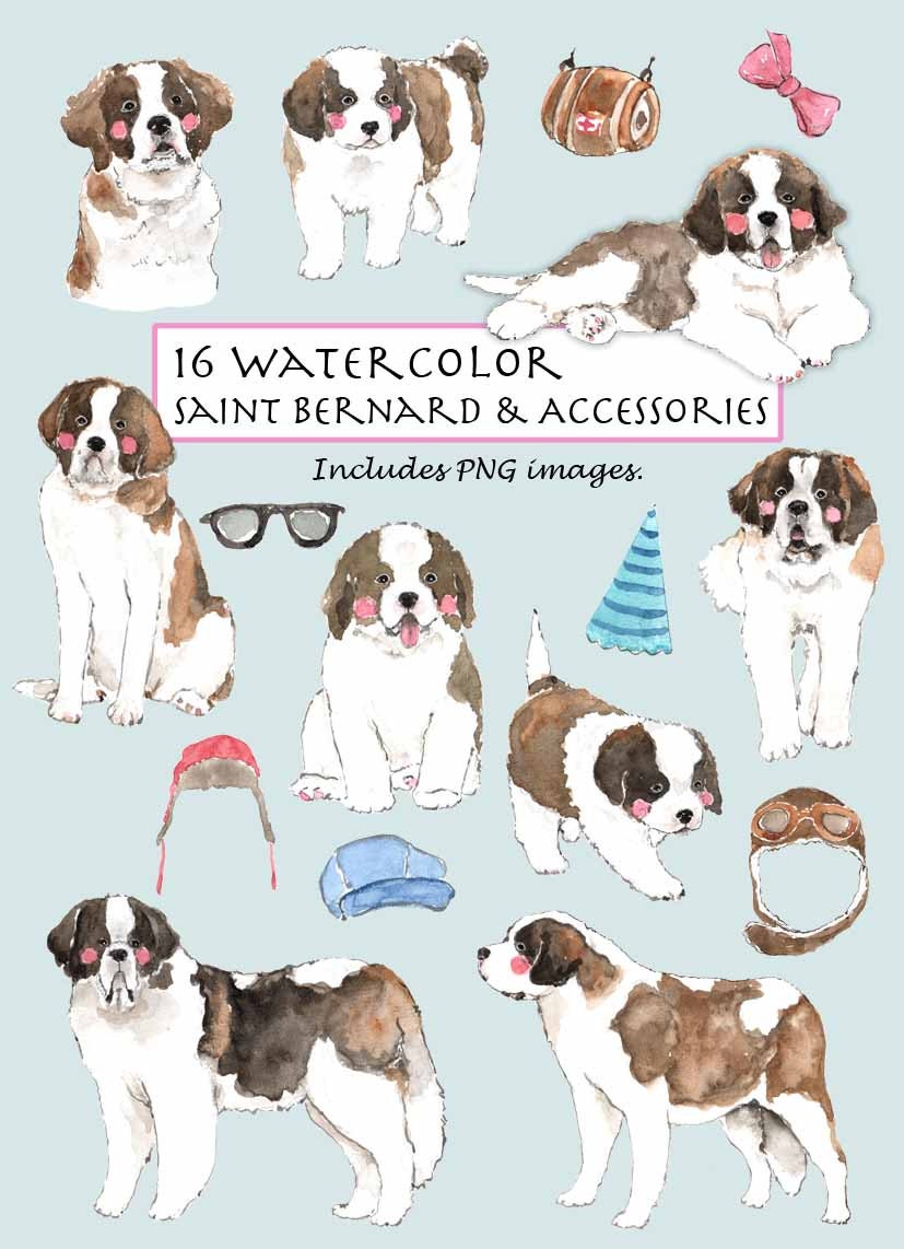 saint bernard accessories