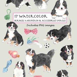 CLIP ART- Watercolor Bernese Mountain & Accessories Set. 17 Images. Digital Download. Puppy. Doggy Toy. Hat. Black. White. Brown.