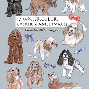 Könnte beinhalten: Aquarellbilder von Cockerspaniels in verschiedenen Posen und Farben, mit Schleifen-Akzenten. Der Text "17 WATERCOLOR COCKER SPANIEL IMAGES" und "Includes PNG images" ist enthalten.