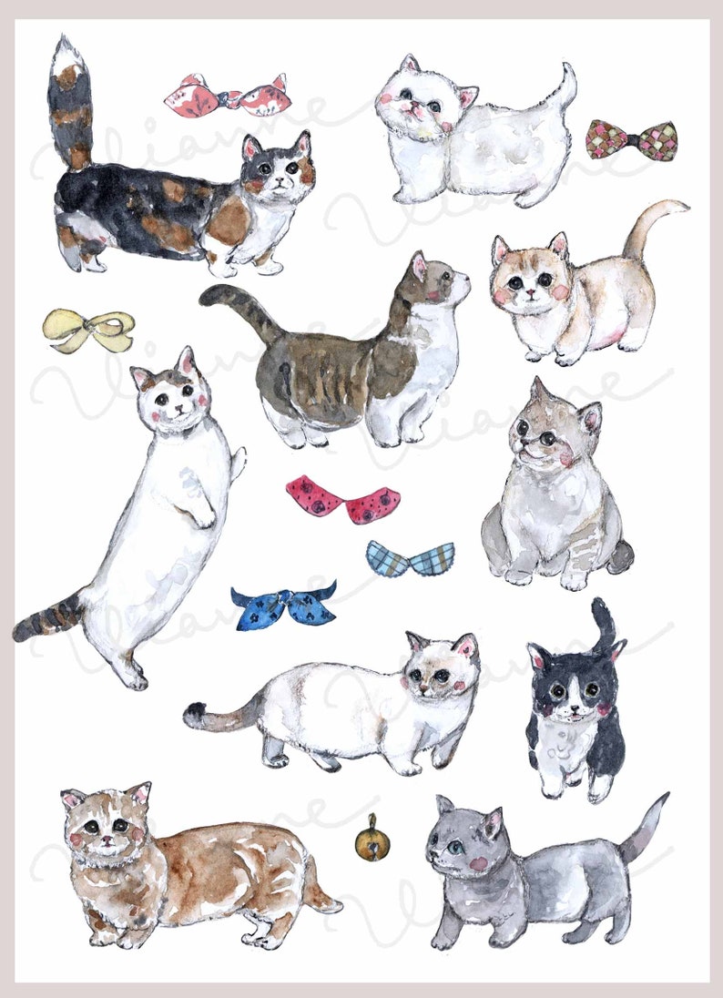Download CLIP ART Watercolor Munchkin Cat Set. 17 Images. Digital ...
