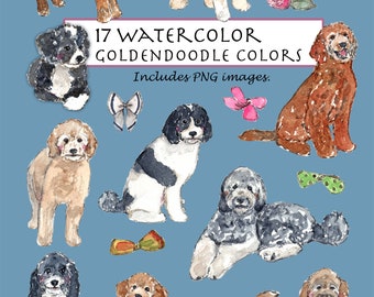 May include: 17 Watercolor Goldendoodle Colours. Includes PNG images. A collection of watercolour illustrations of Goldendoodle dogs in various colours and poses.