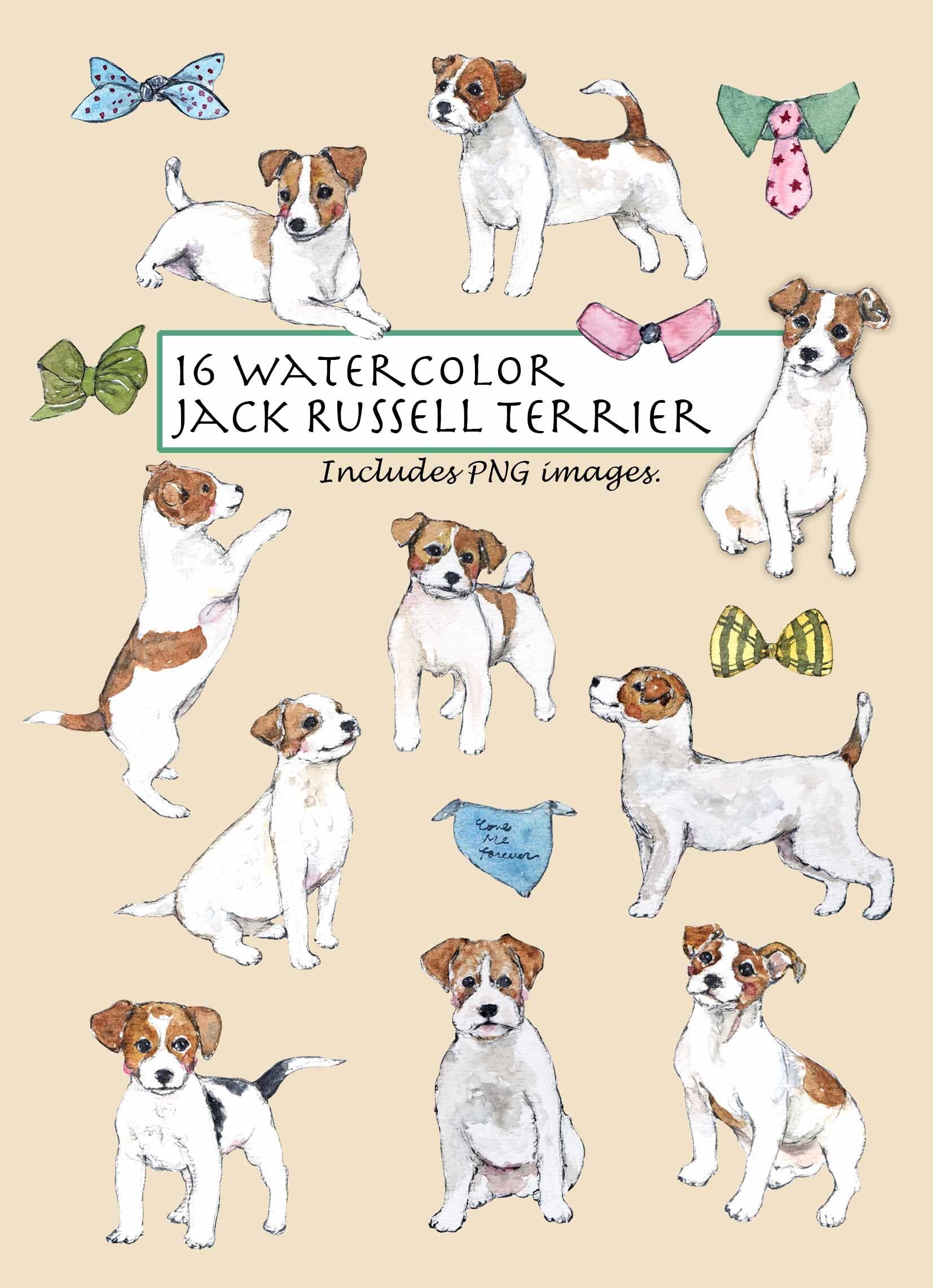 Hair bows for dogs with short hair deals