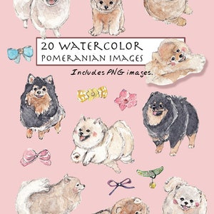 CLIP ART- Watercolor Pomeranian Set. 17 Images. Digital Download. Puppy. Dog Smile. Bow Tie.