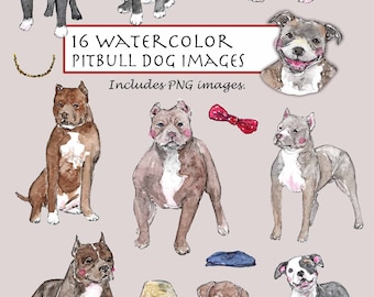 CLIP ART- Watercolor Pitbull Dog Set. 16 Images. Digital Download. Puppy. Doggy. Bow Tie. Dog Hat. Pitbull.