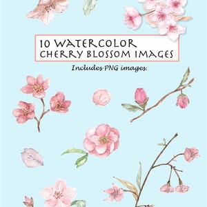 CLIP ART Watercolor Vintage Cherry Blossom Set. 10 Images. Digital Download. Flower. Nature. image 1