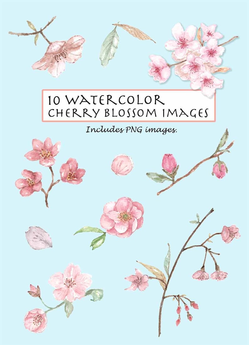 CLIP ART Watercolor Vintage Cherry Blossom Set. 10 Images. Digital Download. Flower. Nature. image 1