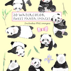 CLIP ART- Watercolor Sweet Panda Set. 20 Images. Digital Download. Panda. Animal. Black and white. Bamboo.
