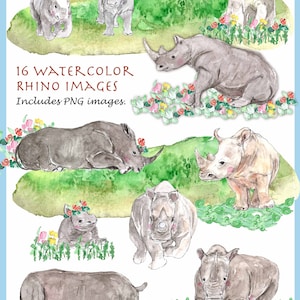 CLIP ART- Watercolor Rhino Set. 16 Images. Digital Download. Wild Animal. Wildlife. Big Mammal. Africa.
