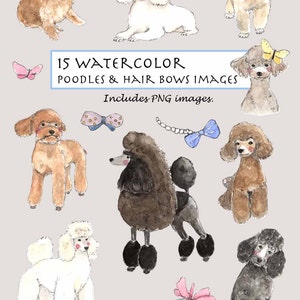 Poodle hair clips discount