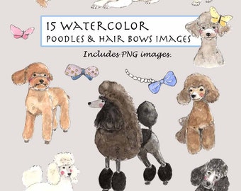 Watercolor Poodle Clipart Set: Puppy & Hair Bows (Digital Download)