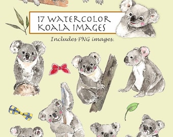 CLIP ART- Watercolor Koala Set. 17 Images. Digital Download. Australia. Wild Animals. Grey Hair. Big Ears. Bow ties.