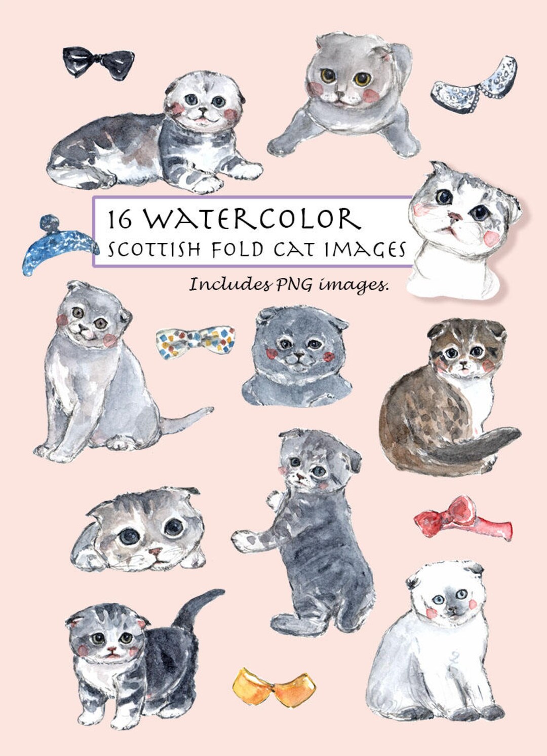 Watercolor Scottish Fold Cat Clipart Set (digital Download)