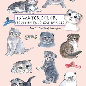 Set di gatti Scottish Fold. 16 immagini. Download digitale. Gattini. Animale domestico. Pelo corto. Papillon per gatti.