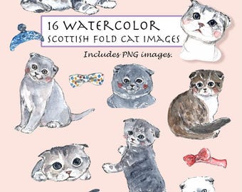 Scottish Fold Cat Set. 16 Images. Digital Download. Kittens. Pet. Short hair. Cat's bow tie.