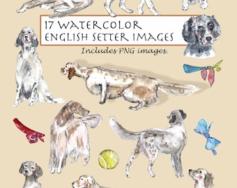 Watercolor English Setter Clipart Set: Puppy Dog Images (Digital Download)