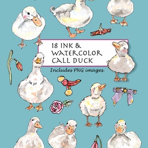 CLIP ART- Ink & Watercolor Call Duck Set. 18 Images. Digital Download. Coy Duck. Domestic Fowl. Netherland.