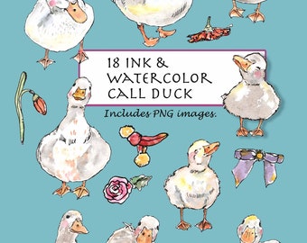 CLIP ART- Ink & Watercolor Call Duck Set. 18 Images. Digital Download. Coy Duck. Domestic Fowl. Netherland.