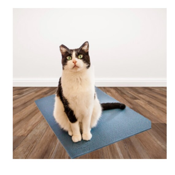 cat activity mat