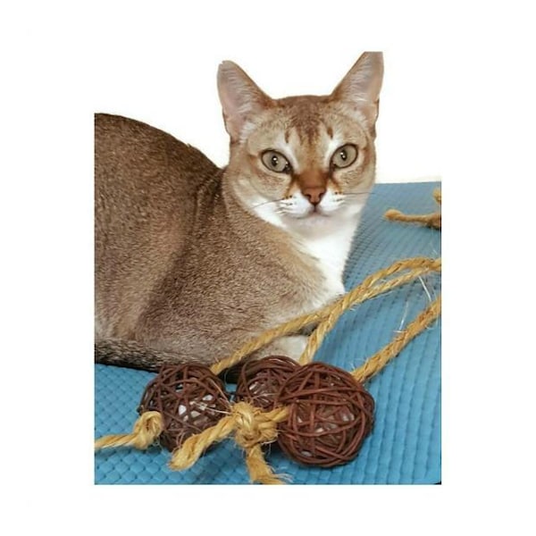 Cat Toy - Twine Balls stuffed with catnip, catnip bag, replacement attachments for the Yoga Cat Mat Toy or Seperate Toy for kitty!