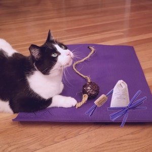 Purple Yoga Cat Mat Gift Set - Unique Cat Mat Scratcher and Cat Toy Gift Set