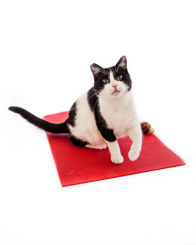 Gift for Cat Yoga Mat and Cat Toy Gift Set for Cat Etsy