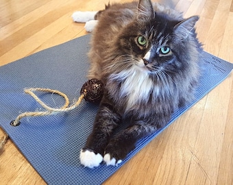 Unique Cat Size Yoga Mat for Cats - Cat Interactive Activity Mat