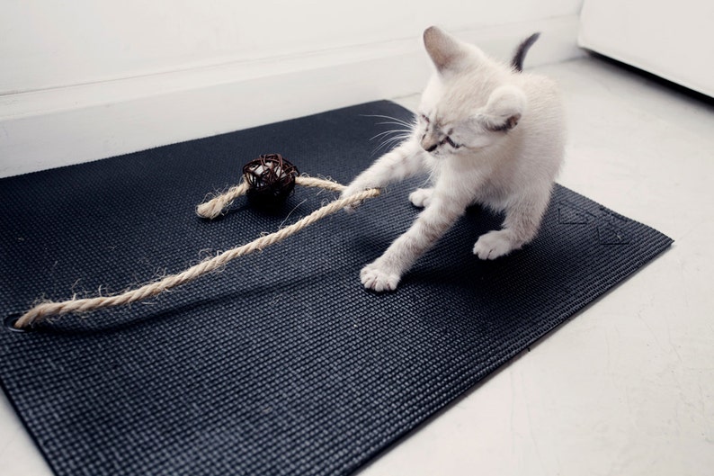 Yoga Mat, Black Yoga Mat, Yoga Mat for Cats, Cat Mat, Yoga Lover Gift image 1