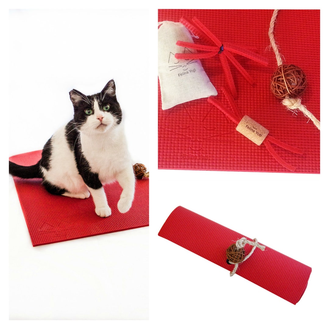Cat Yoga Mat Gift Set: Red Kitty Mat, Catnip Toys - Etsy