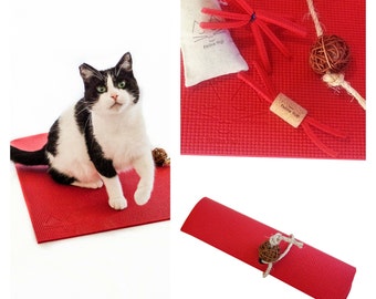 Gift for Cat, Yoga Mat and Cat Toy Gift Set for Cat