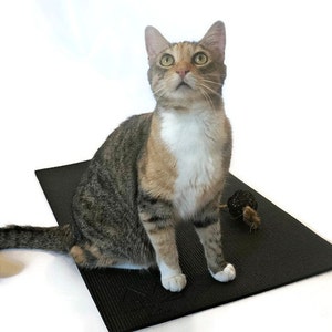 Yoga Mat, Black Yoga Mat, Yoga Mat for Cats, Cat Mat, Yoga Lover Gift image 2